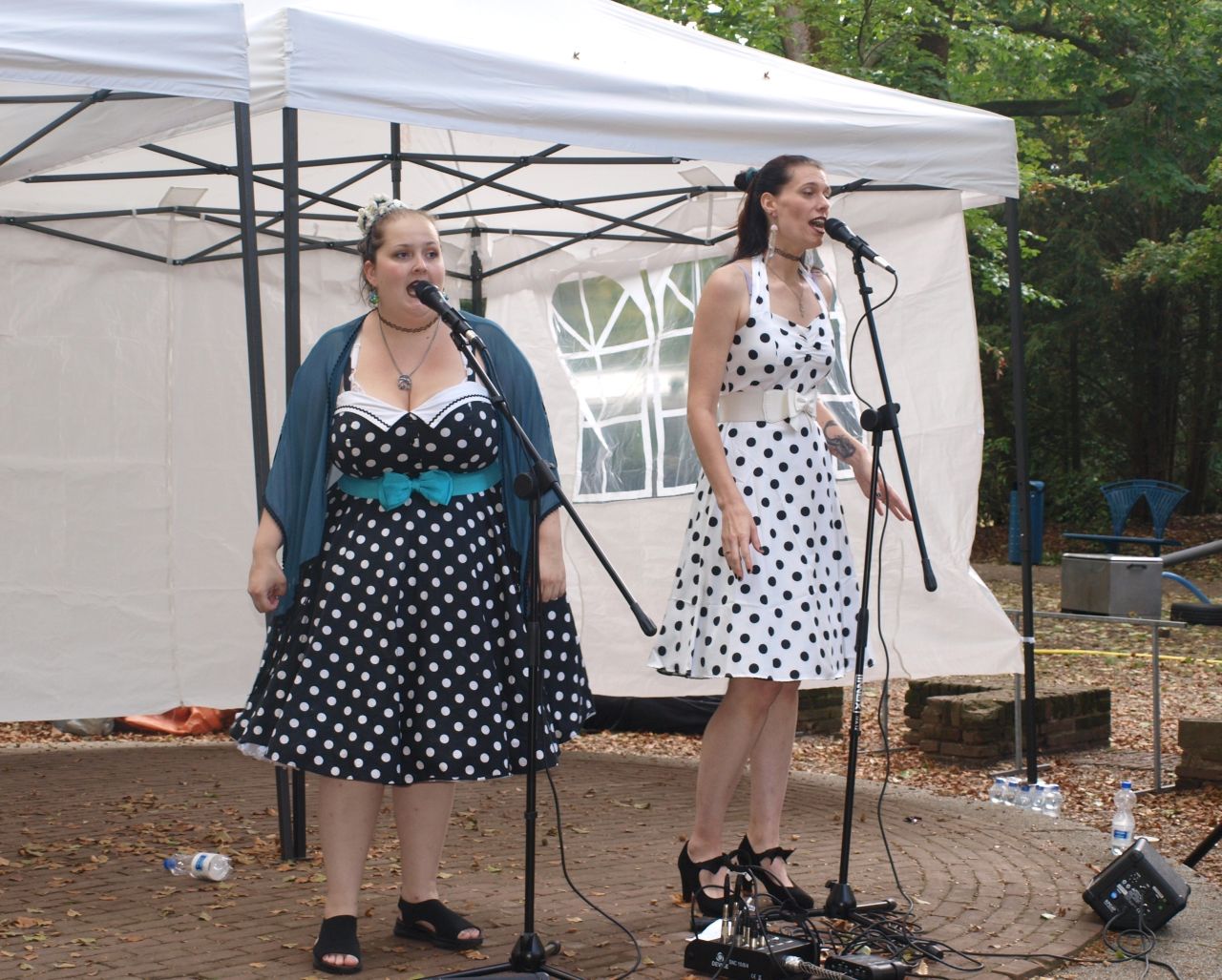 Zangduo The Nightingales